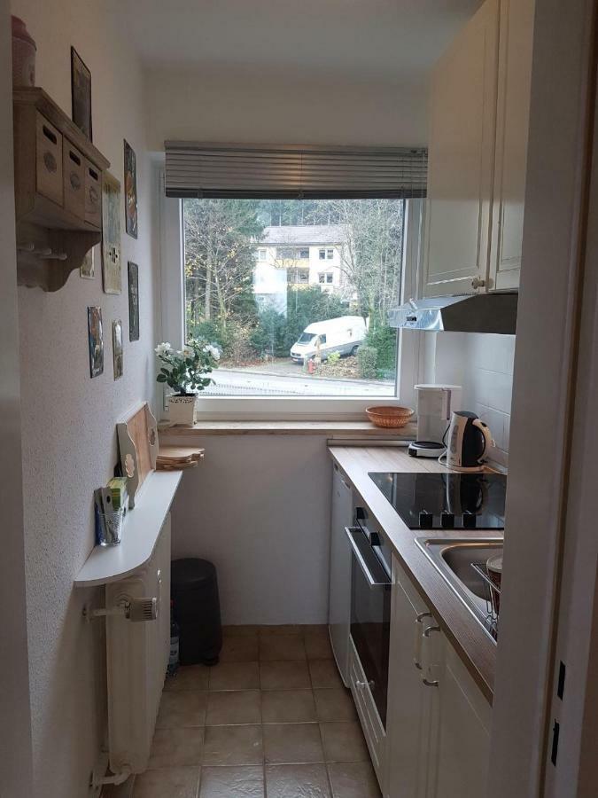 Ferienwohnung Weitblick Sankt Andreasberg Exterior foto